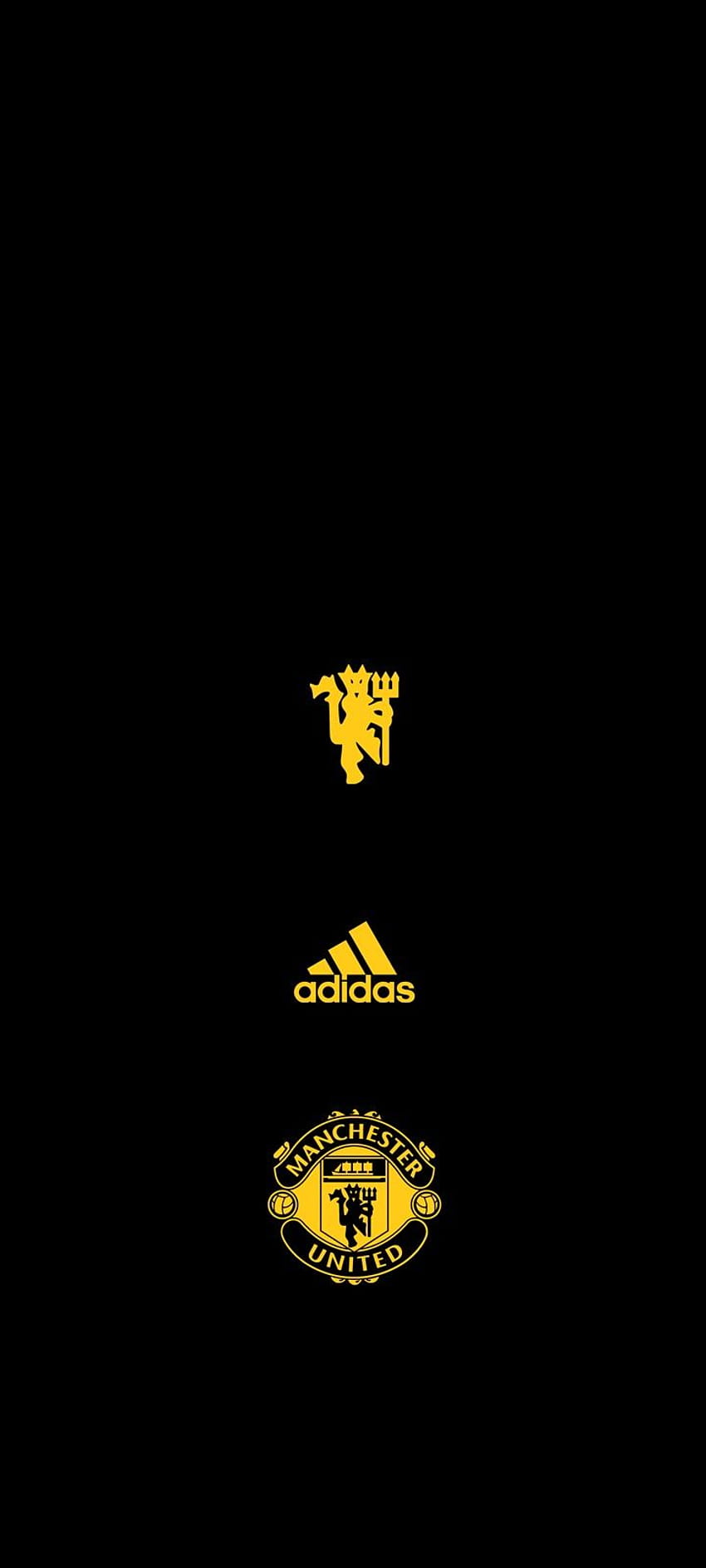 290 Manchester United ideas in 2022, manchester united logo 2022 HD phone  wallpaper | Pxfuel