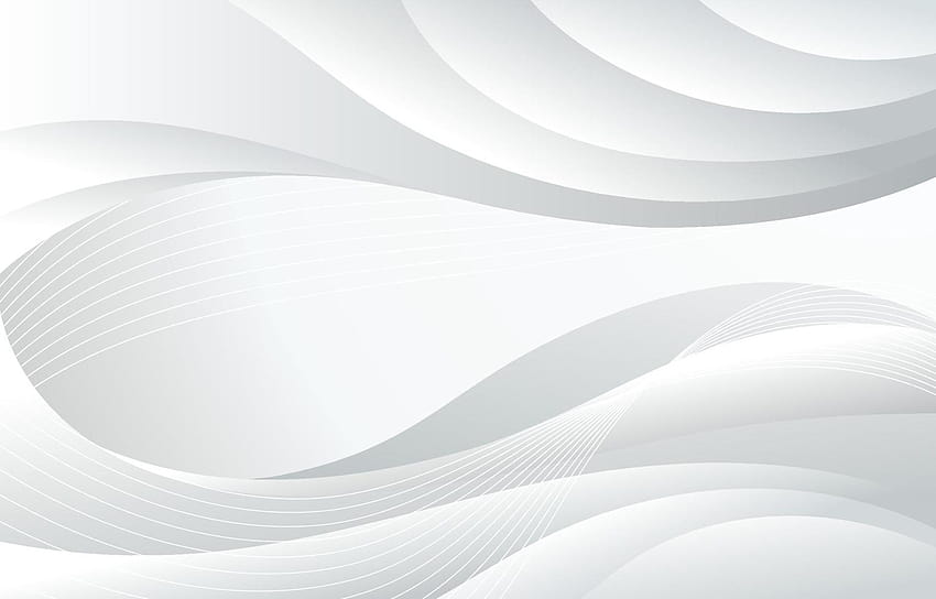 Abstract White Backgrounds 3311479 Vector Art at Vecteezy, white vector HD wallpaper