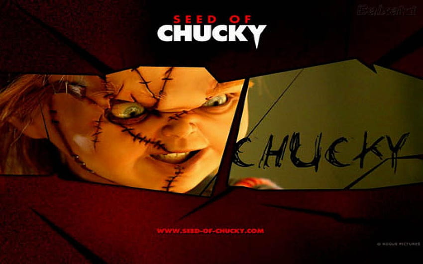 Топ нов Chucky Source Â, семе на chucky HD тапет