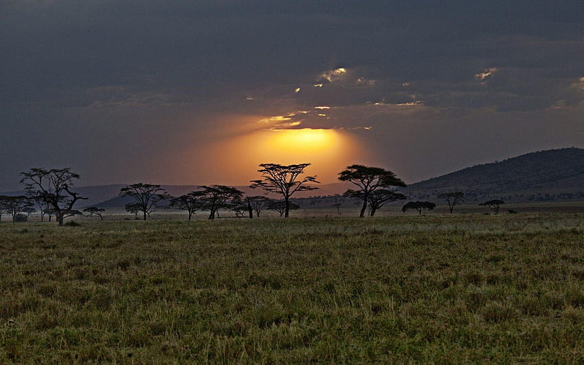 1680x1050 พระอาทิตย์ตก เคนยา แอฟริกา วอลล์เปเปอร์ HD