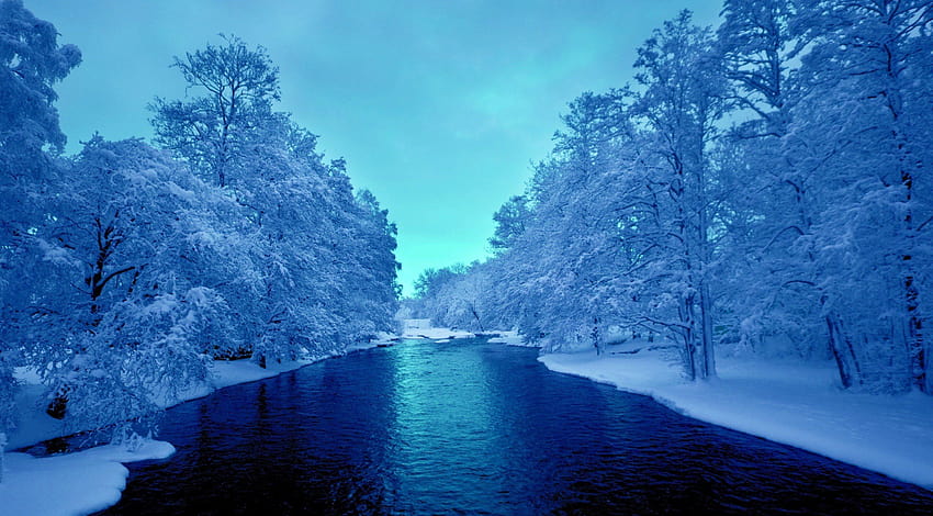 4 Cold Weather, cold winters HD wallpaper