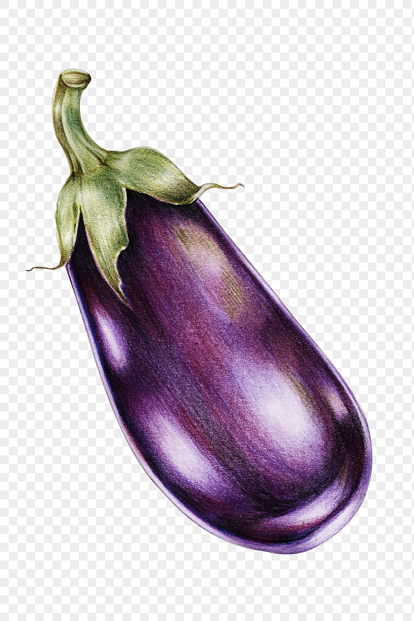Eggplant PNG, aesthetic eggplant HD phone wallpaper