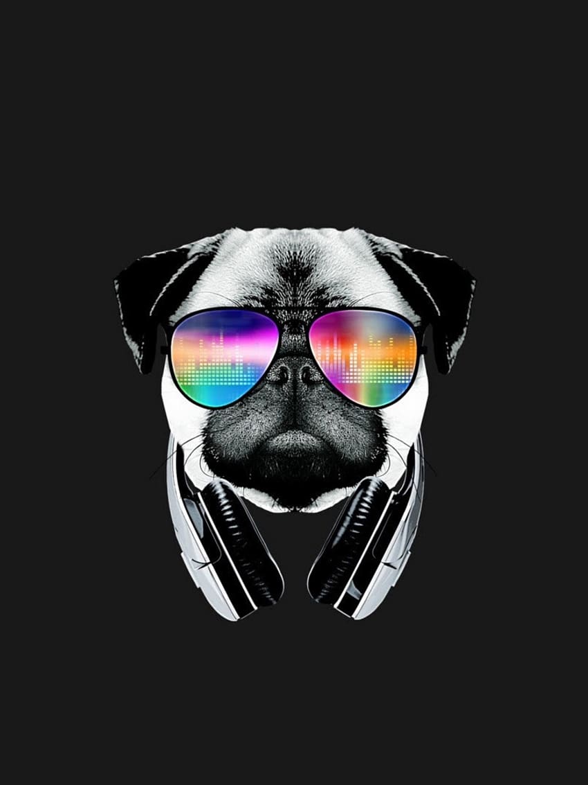anjing keren, bulldog, headphone, kacamata hitam wallpaper ponsel HD