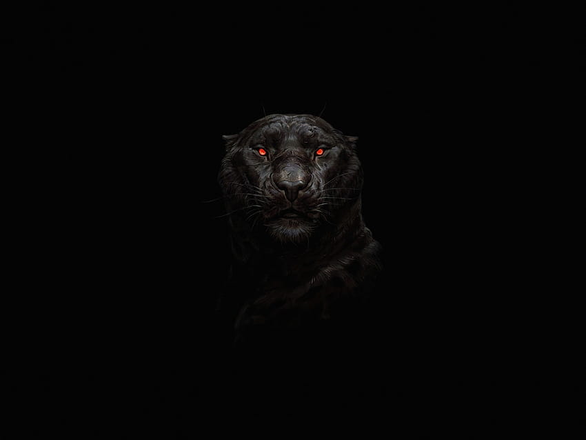 เสือ ตาแดงเรืองแสง มินิมอล มืด , พื้นหลัง, 02de11 วอลล์เปเปอร์ HD