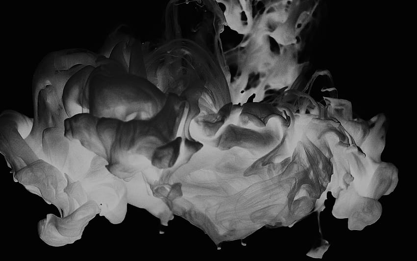 568557 black and white, cigarette, fag, fume, smoke - Rare Gallery HD  Wallpapers