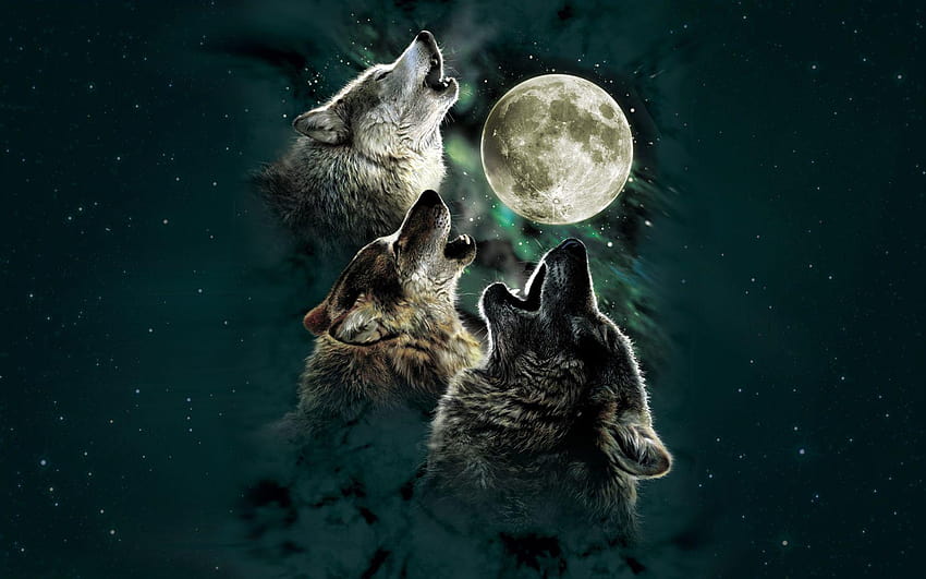 4 Three Wolf, wolf and moon HD wallpaper