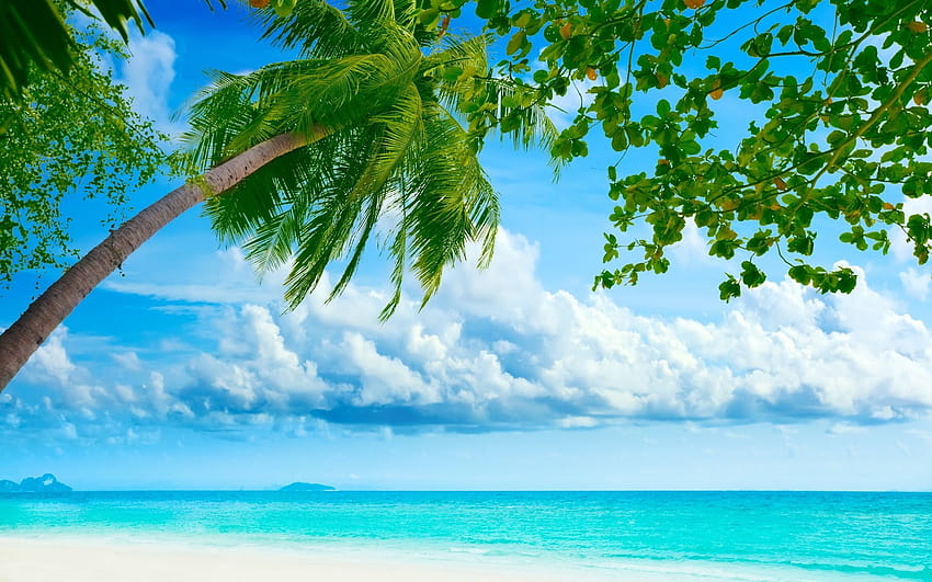 3 Outstanding For You, tropical beaches HD wallpaper