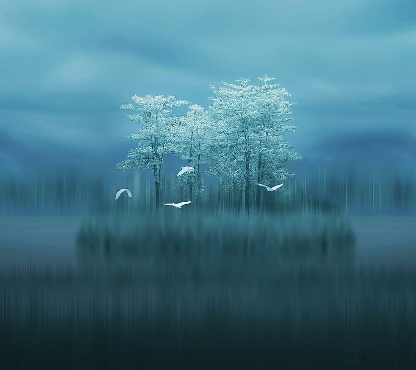 Lake, Trees, Birds, Blurred, Huawei Mate 10, Stock HD wallpaper