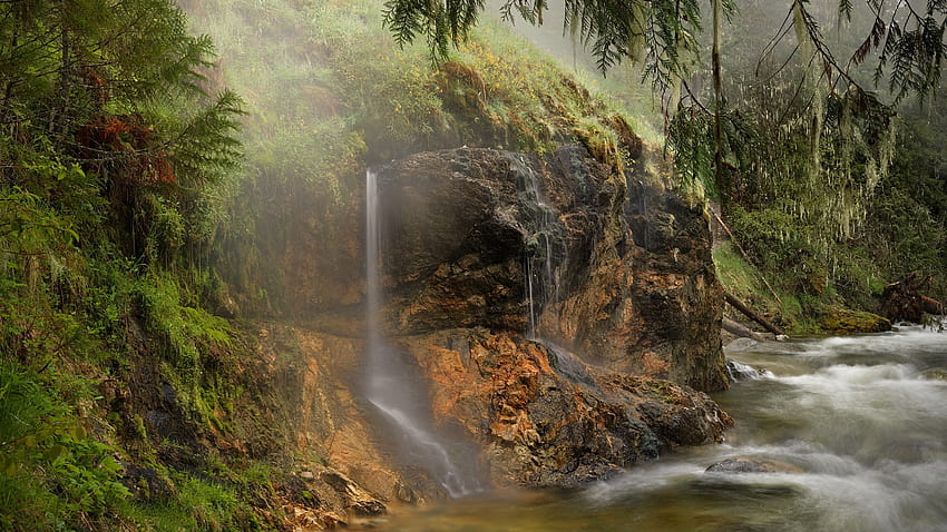 : rzeka, wodospady, strumień, strumienie, dżungla, skała, roślinność, wilgoć 1920x1080 Tapeta HD
