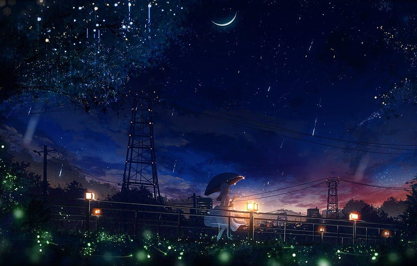 Fireflies, wire, Power lines, lights, girl, walk, new, summer moon HD ...