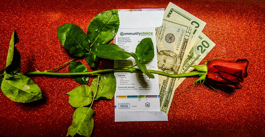 : red, holiday, money, flower, rose, Valentine 4056x2104 HD wallpaper