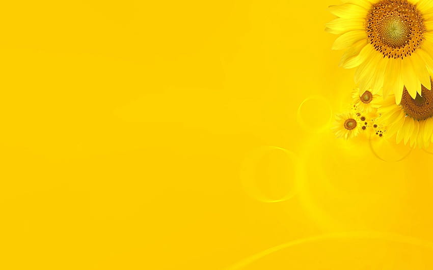 5 The Yellow Themes HD wallpaper