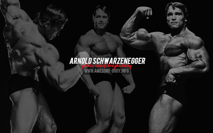 Bodybuilding-Motivation, Sergio Oliva HD-Hintergrundbild