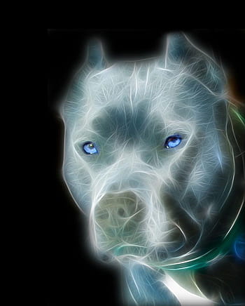 Page 8, Pit Bull HD wallpapers