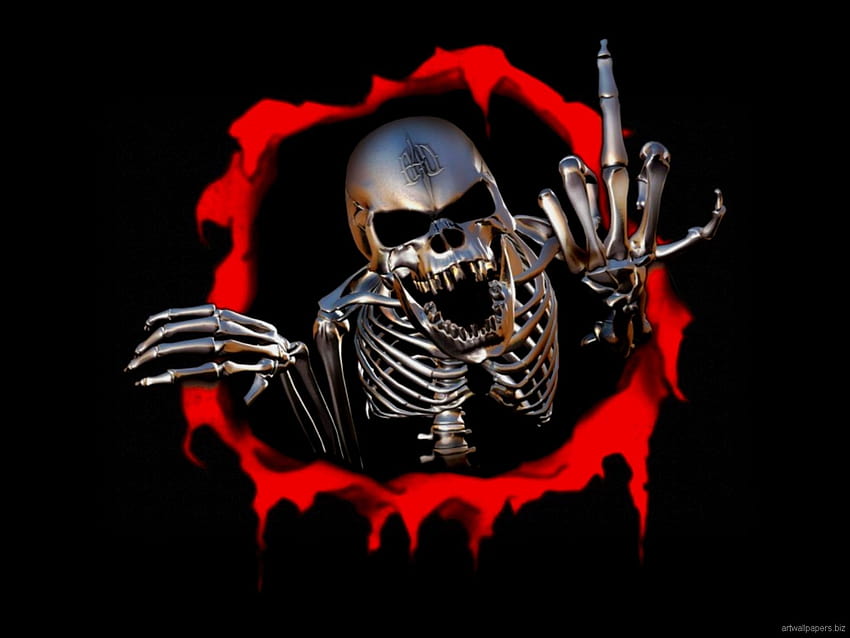 Skull s, skeleton skull HD wallpaper