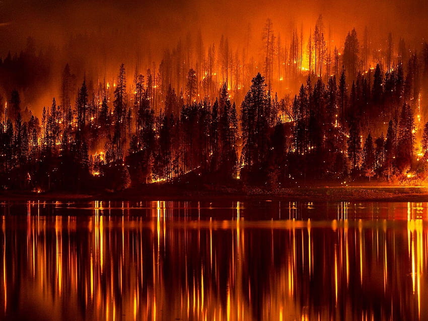 : горски пожар, горски пожари HD тапет