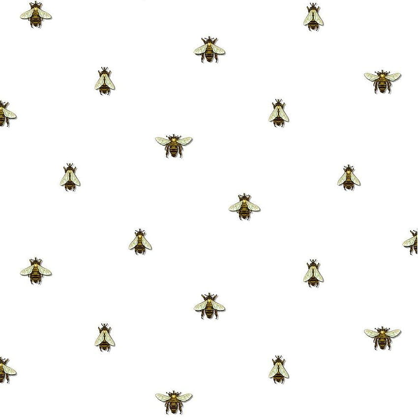 Timorous Beasties Wild Honey Bee Spot HD 전화 배경 화면