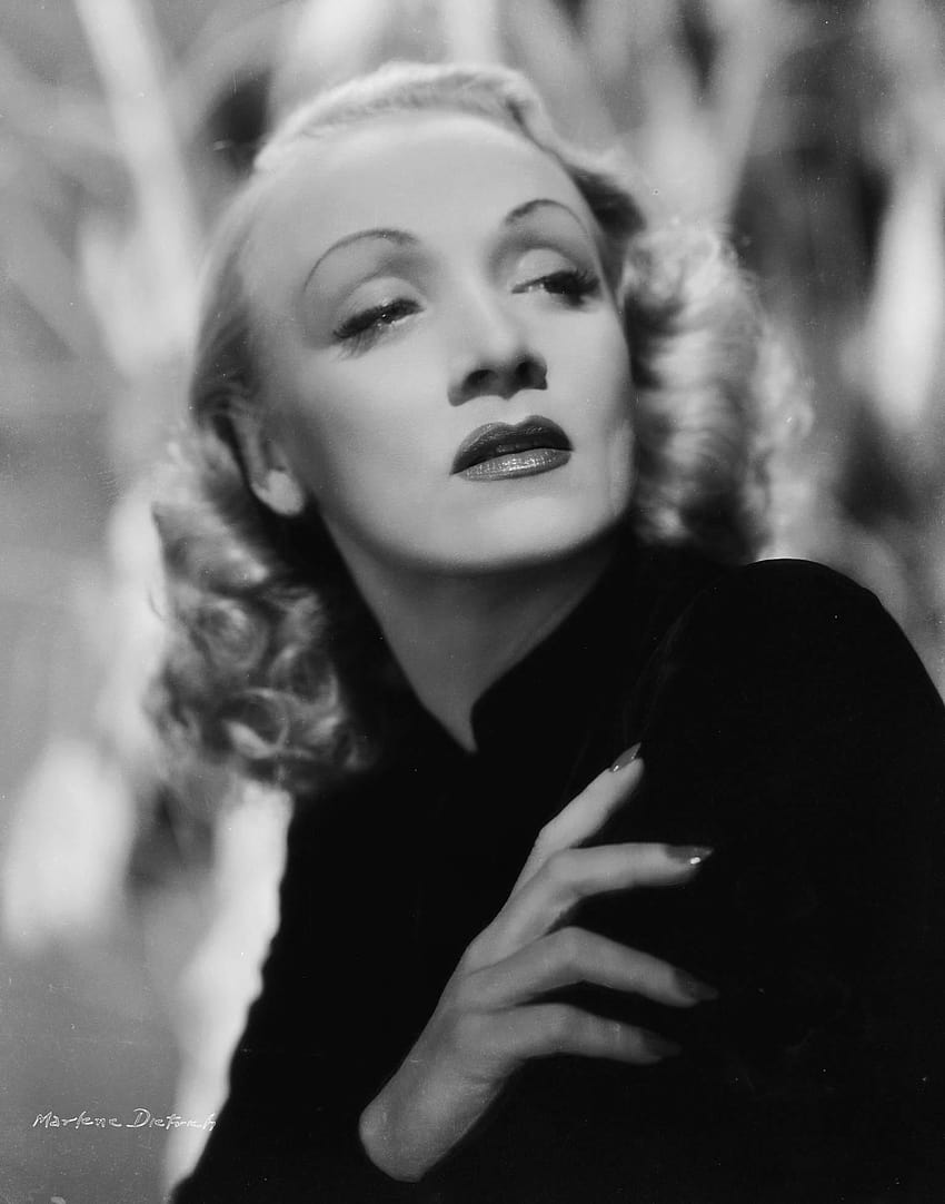 Marlene Dietrich Marlene Dietrich and backgrounds HD phone wallpaper ...