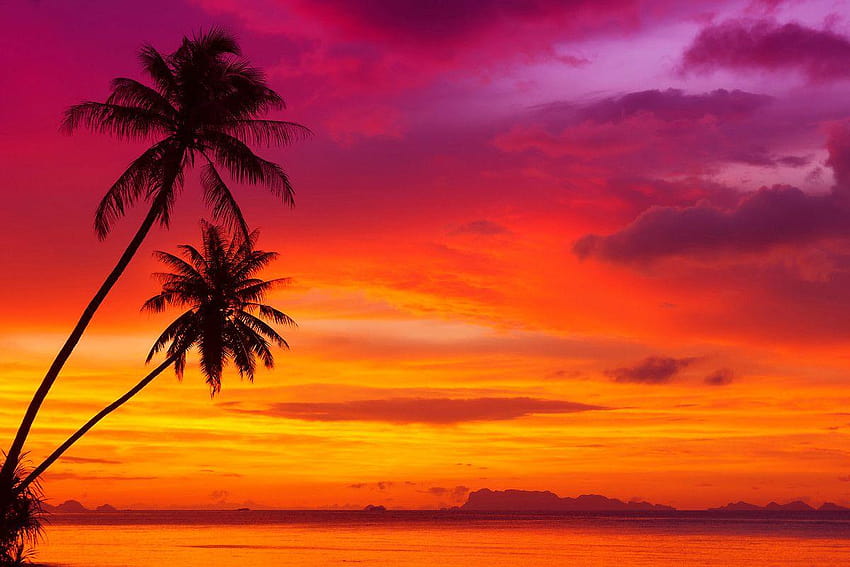 tropical sunsets HD wallpaper