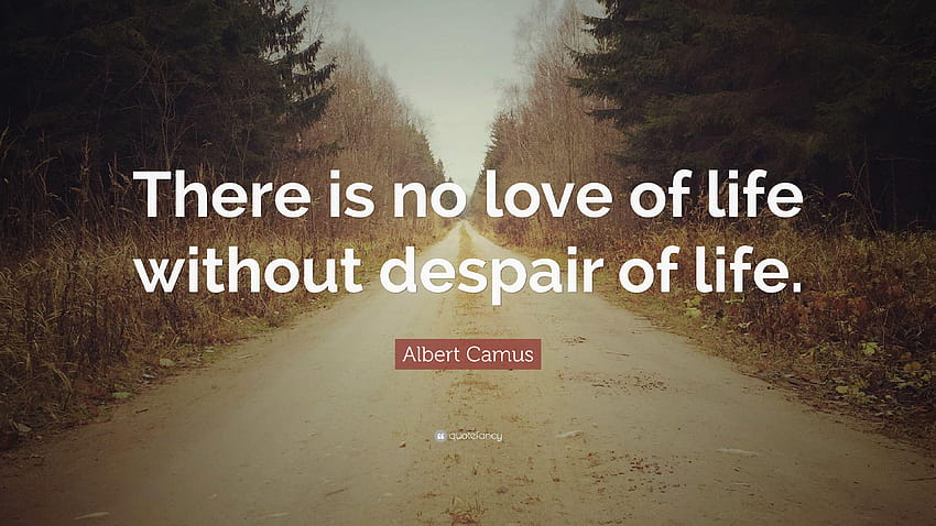 Цитат на Албер Камю: „Няма любов към живота без отчаяние, няма любов, няма живот HD тапет