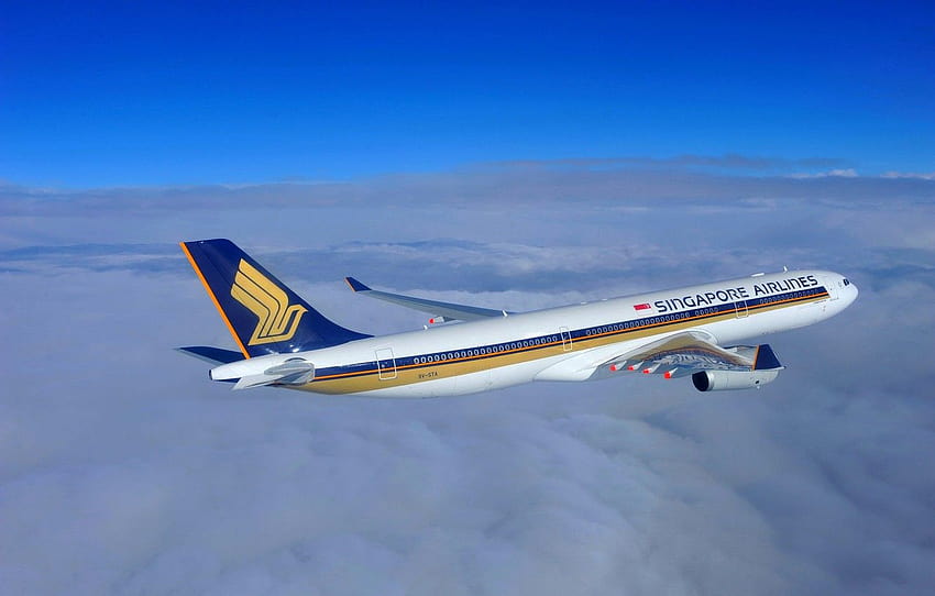 The sky, Clouds, Singapore, Flight, Flight, Clouds, Sky, 300, Singapore, The plane, Passenger, Airbus, A330, Airliner, Passenger, Aircraft , section авиация, singapore airlines HD wallpaper