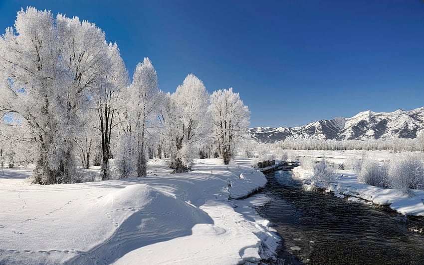 Winterscape posted by John Sellers HD wallpaper