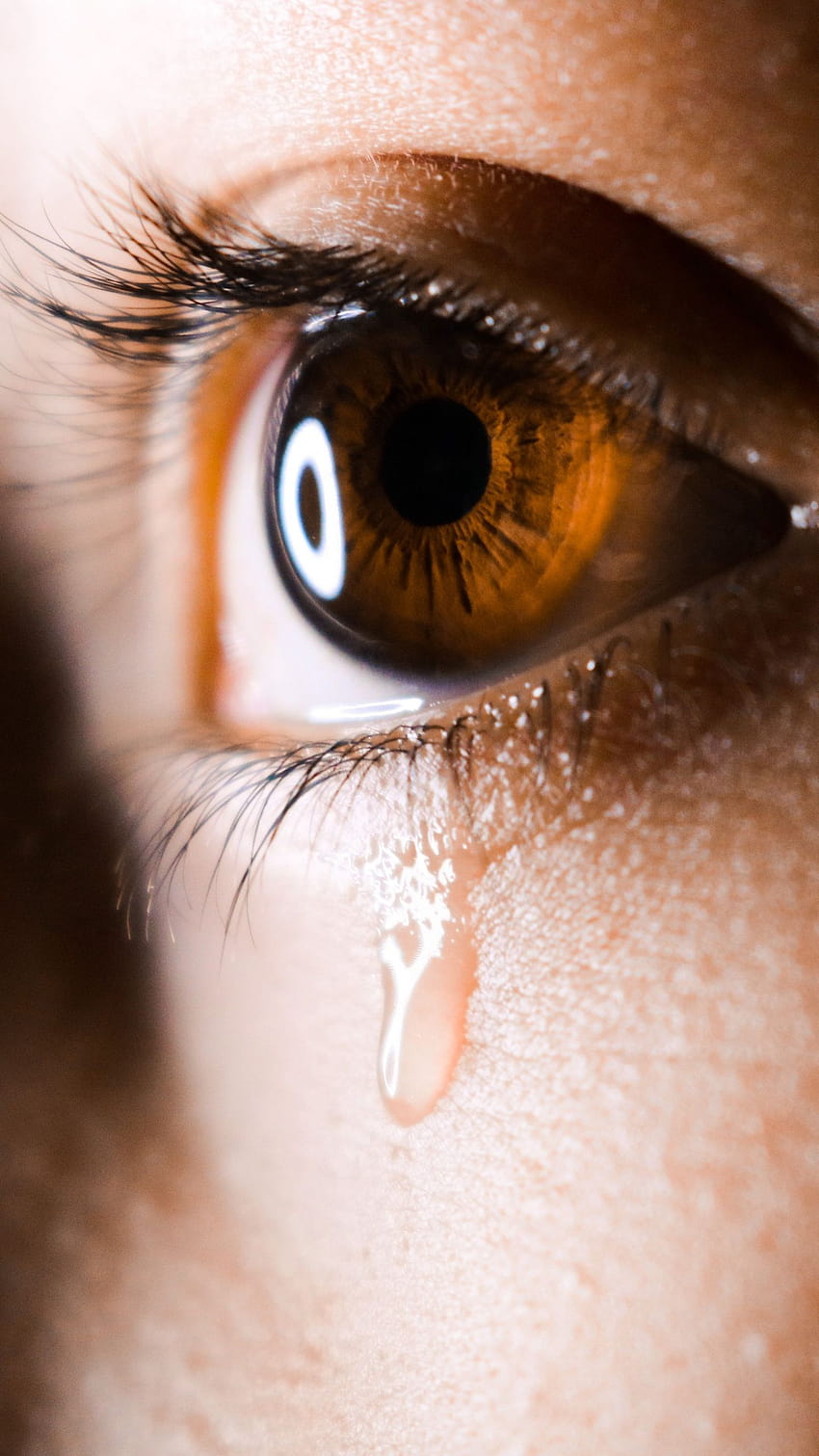 Tear, Sad, Eye, Eyelashes, eye tear HD phone wallpaper