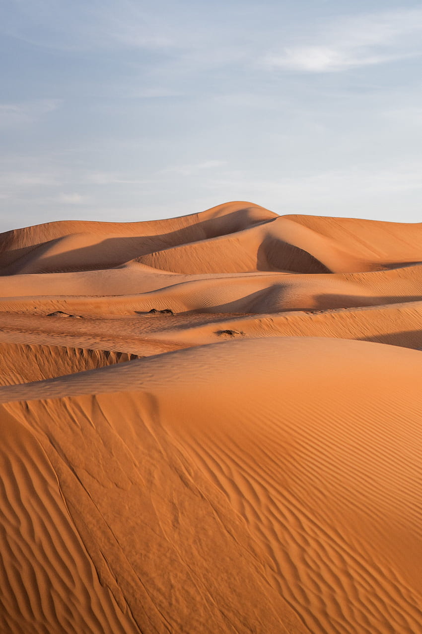 Сафари в пустинята на Дубай HD тапет за телефон