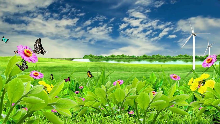 Nature Scenery Video, Royalty Landscape Video, scenery background HD wallpaper