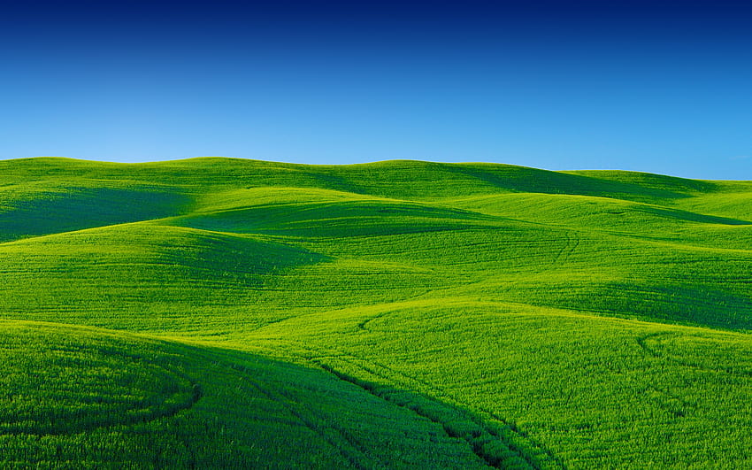 3072x1920 Green Landscape, Field, Sky HD wallpaper
