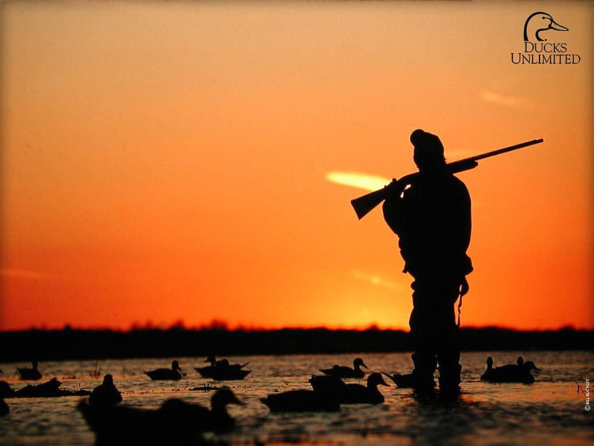 Duck Hunting , Duck Hunting HD wallpaper