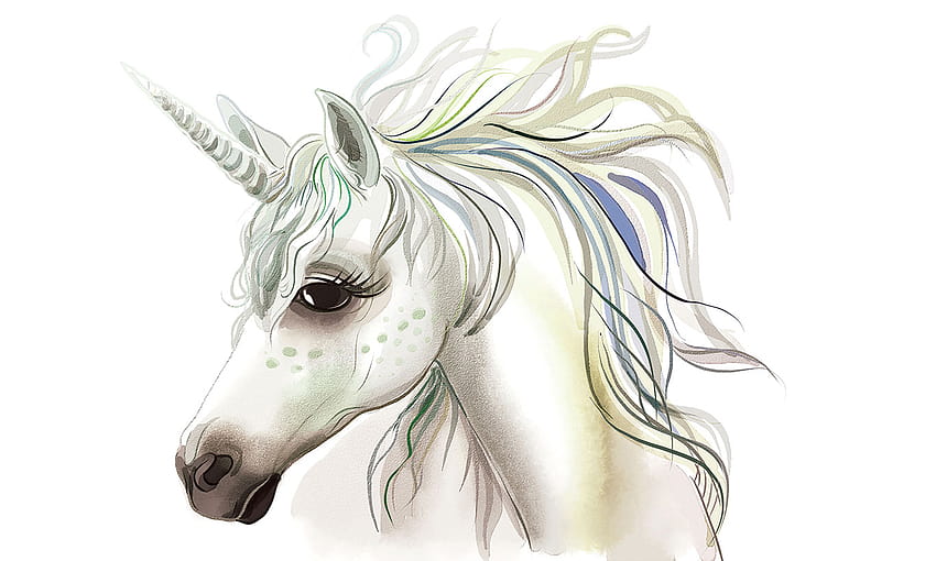 Drawing Of A Unicorn With Colored Pencils Next To It Background Pictures  Of Unicorns To Draw Background Image And Wallpaper for Free Download