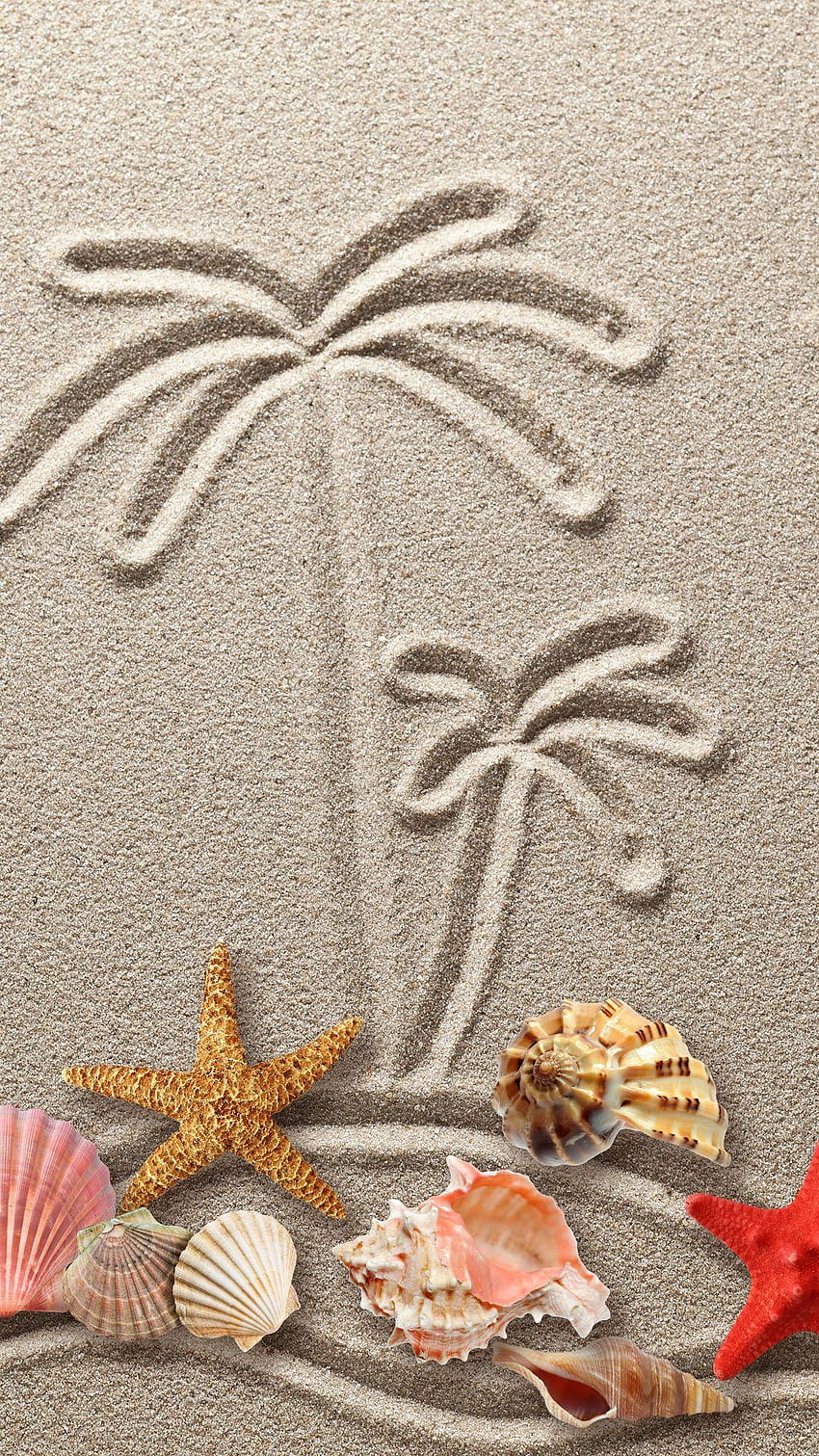 テクスチャ, 貝殻, 砂, フィギュア, ヒトデ, 図面, シェル, 砂 HD電話の壁紙