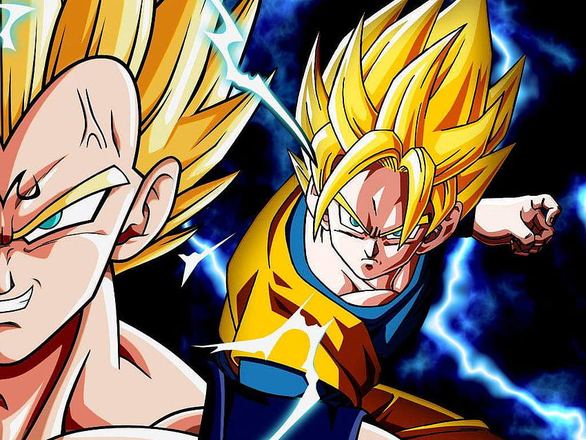 Goku vs Majin Vegeta by Dony910, goku vegeta HD wallpaper | Pxfuel