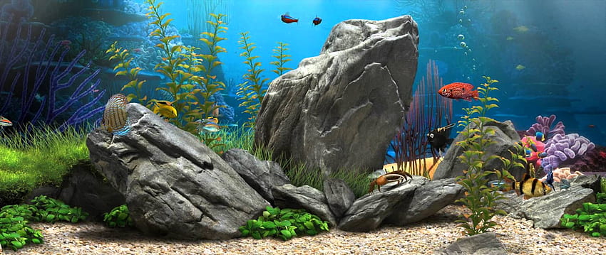 Aquário de peixes 3D papel de parede HD