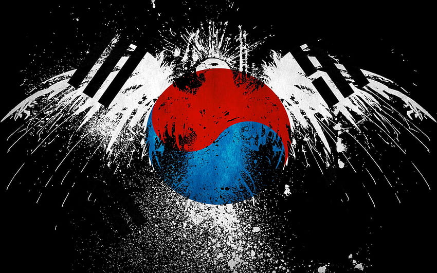 5 bandiera coreana, bandiera della corea del sud Sfondo HD
