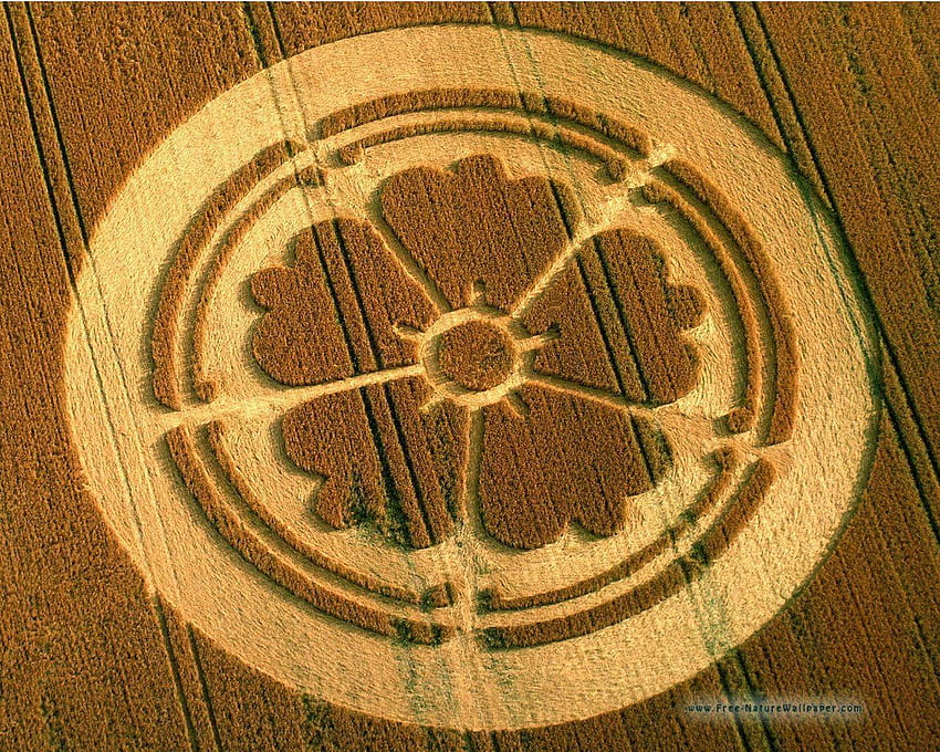 crop circles Fond d'écran HD