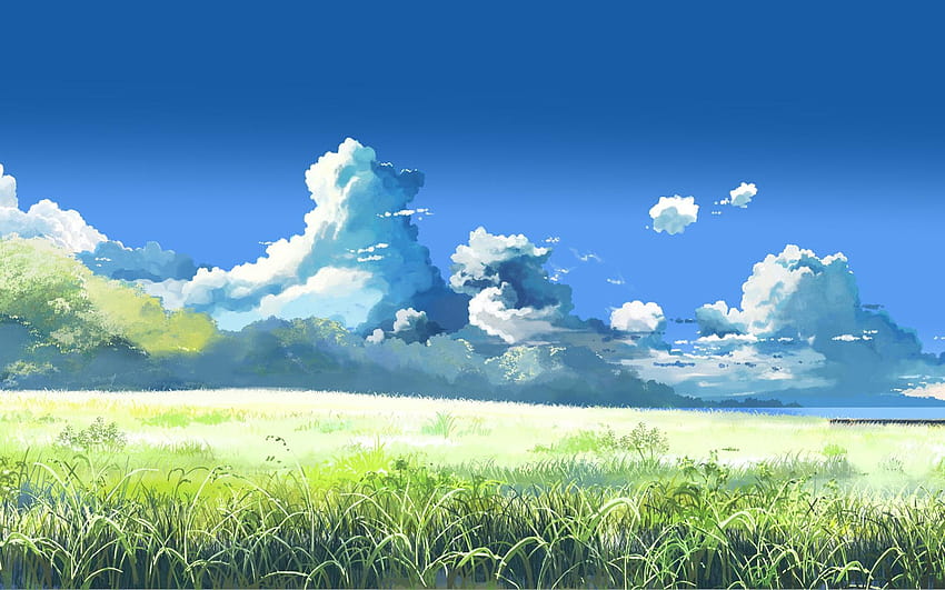 Anime Landscape, anime grass scenery HD wallpaper