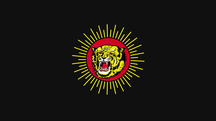 : Naam Tamilar, NTK, tiger, flag, tamil nadu 1920x1080 HD wallpaper