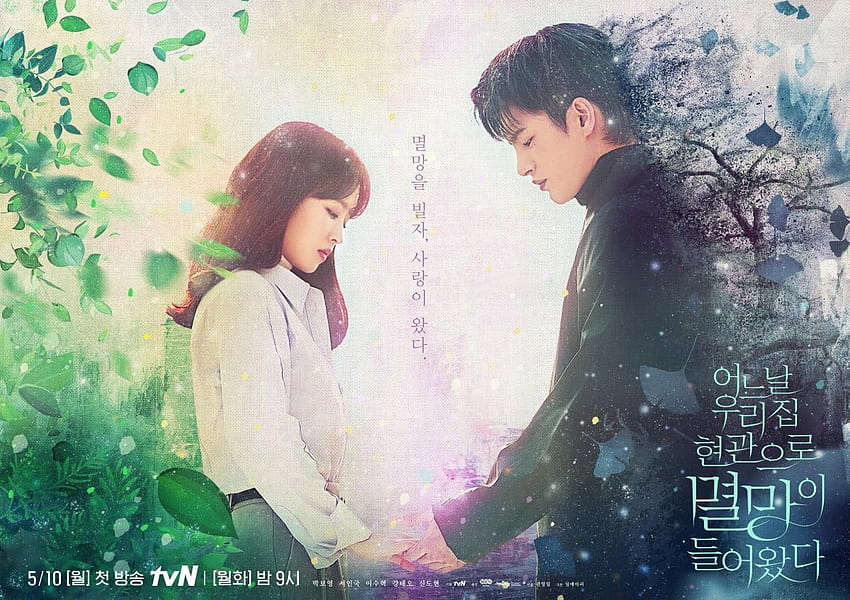 Park Bo Young e Seo In Guk se dão as mãos no sedutor pôster principal de “Doom At Your Service” – KDrama Fandom papel de parede HD