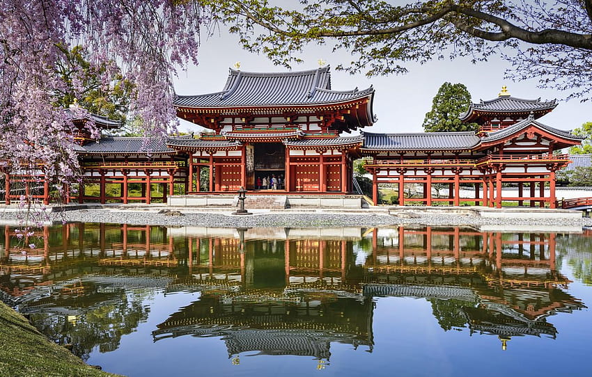 pond, reflection, spring, Japan, Sakura, Japan, pond, the byodo in temple HD wallpaper