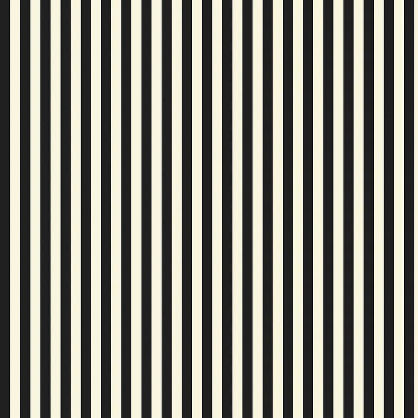 Vintage Black And White Stripes