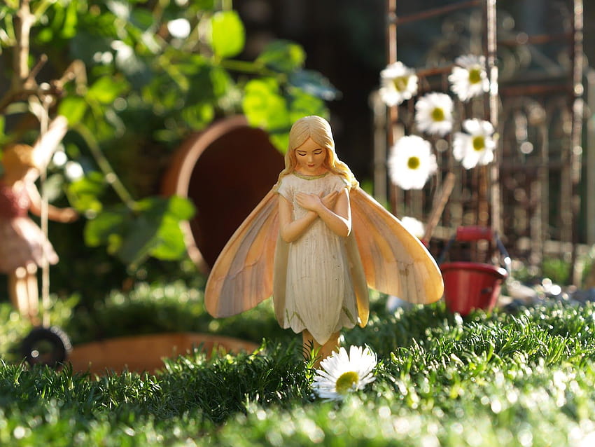 Our Fairy Garden, tiny fairy wings HD wallpaper