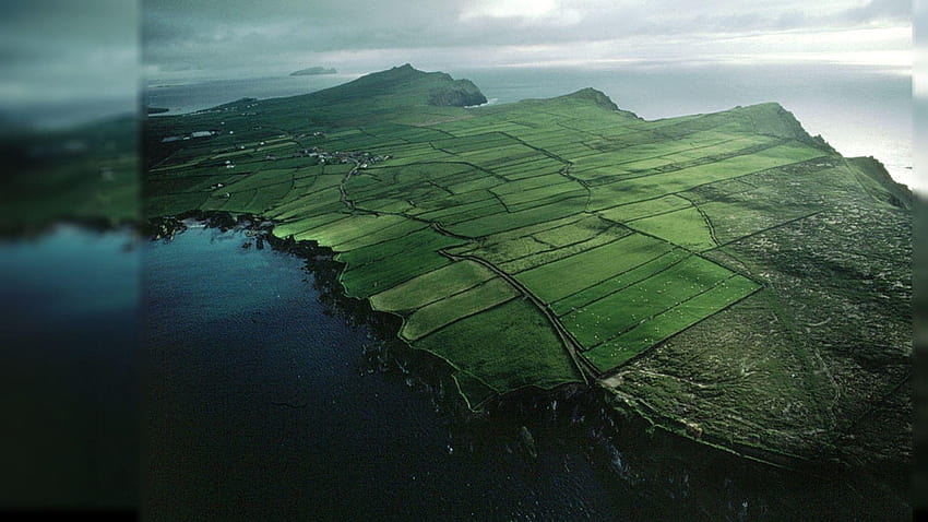 Ireland, irish harp HD wallpaper