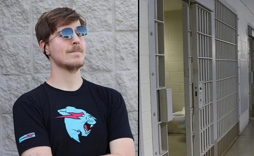 Every Single Video MrBeast Has Made In The Past Year Got More Than 10 Million Views, jimmy donaldson HD wallpaper