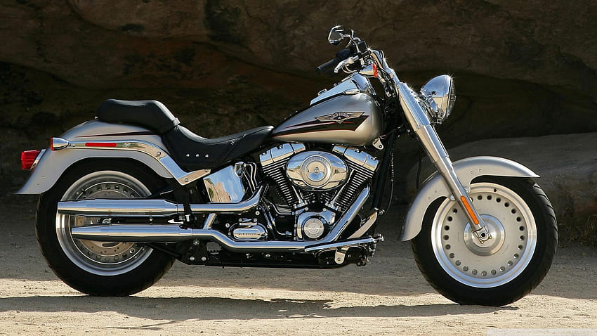 Harley Davidson Bike, harley davidson cycles HD wallpaper | Pxfuel