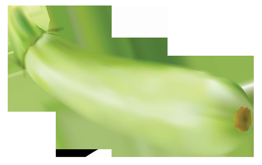Zucchini PNG Vector Clipart ​ Sfondo HD