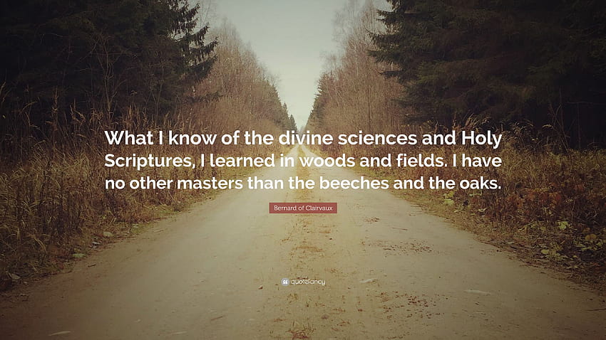 Bernard of Clairvaux Quote: “What I know of the divine sciences and Holy Scriptures, I learned in woods and fields. I have no other masters than the ...” HD wallpaper