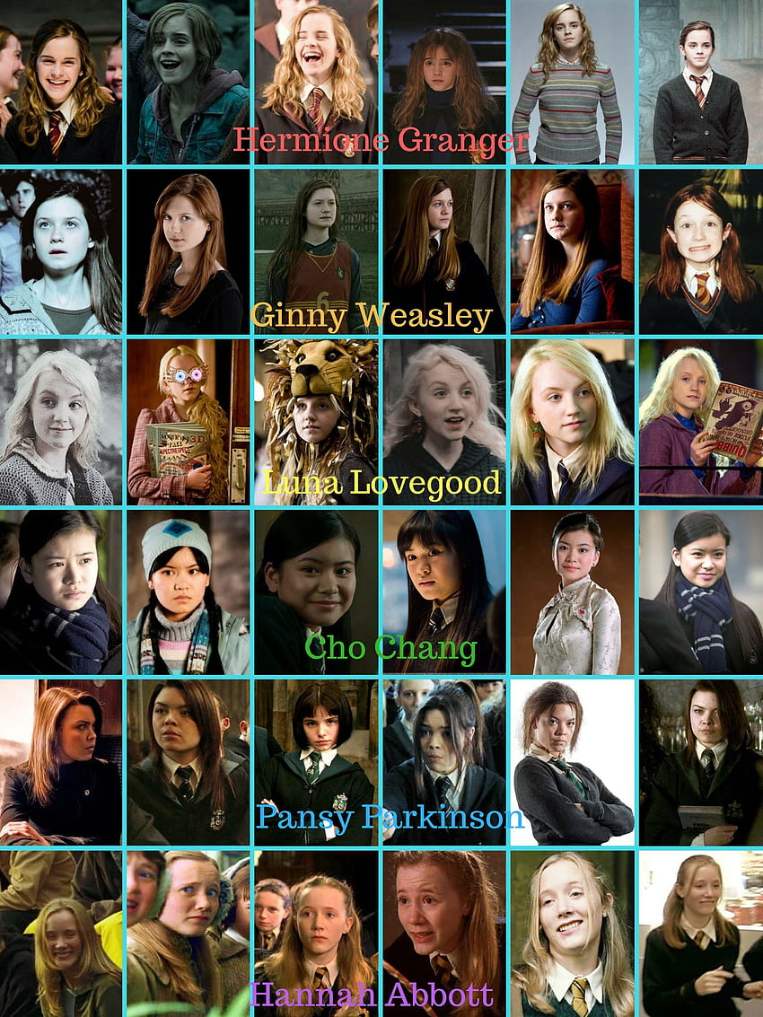 Hermione Granger, Ginny Weasley, Luna Lovegood, Cho Chang, Pansy, luna x ginny HD phone wallpaper