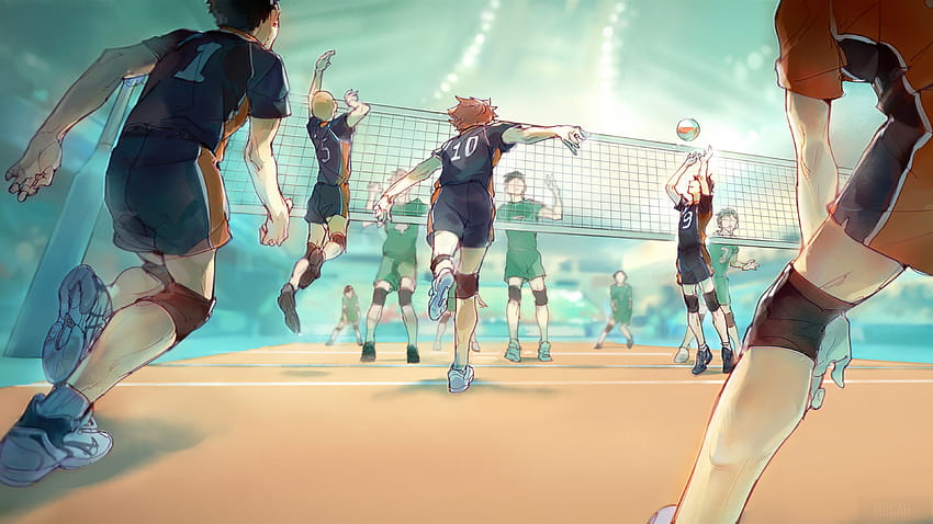 Volleyball , Backgrounds, volleyball court anime HD wallpaper